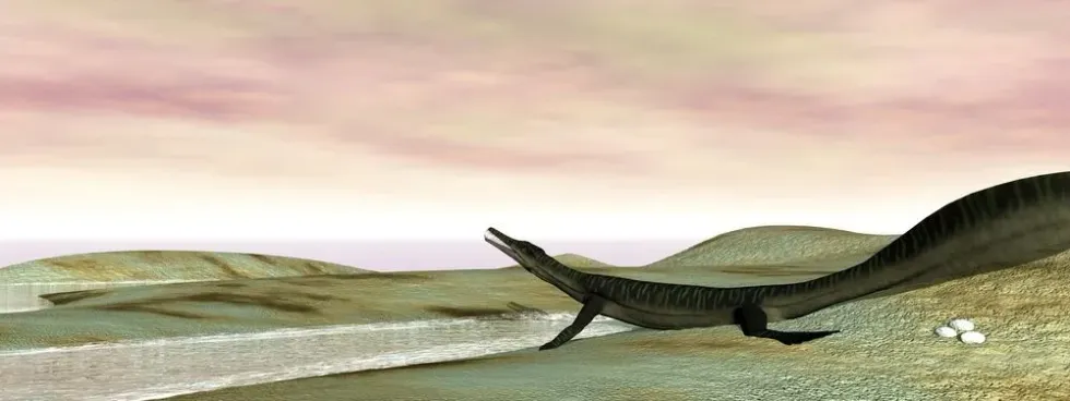 Read these Mesosaurus facts to learn about these primitive reptiles from the Early Permian period.