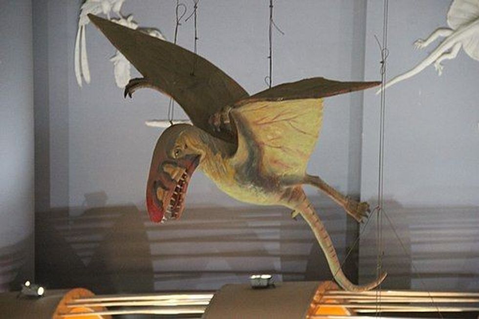 Read these Nurhachius facts to learn more about the unique characteristics of the flying reptile.