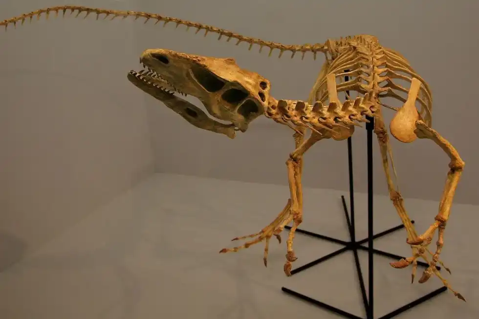 Read these Santanaraptor fun facts.