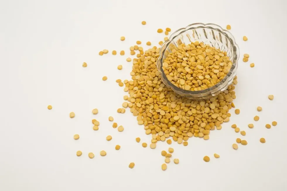 Read these split peas nutritional facts to know how much calcium, sodium, iron, fat, and other nutrients this legume has!