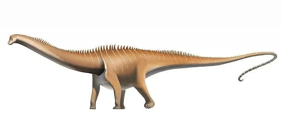 Read these Suuwassea facts to know more about this long-neck sauropod dinosaur.