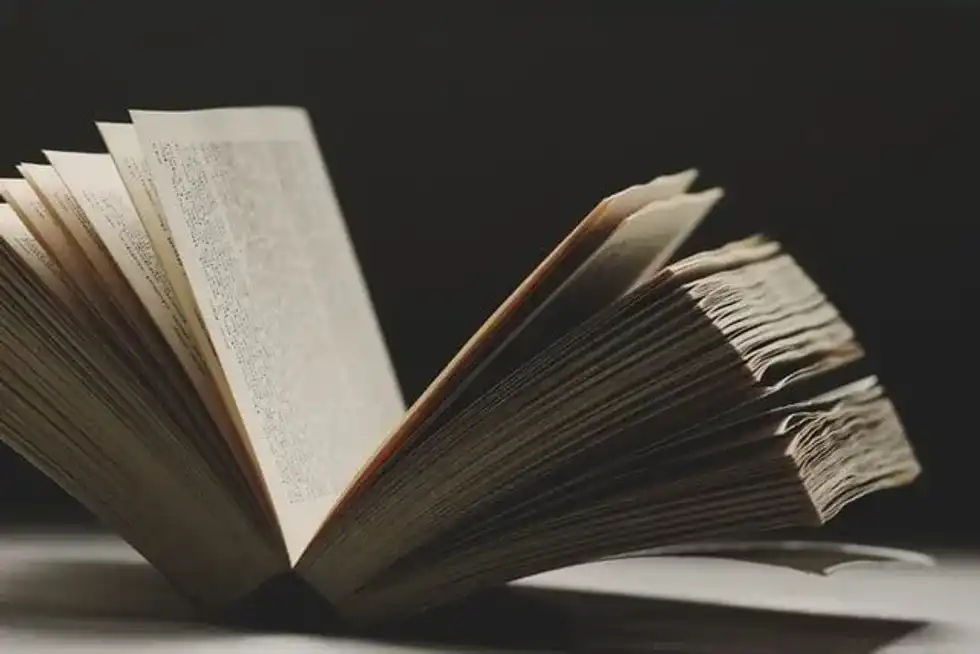 Read these 'The Book Thief' facts and learn all about this iconic story.