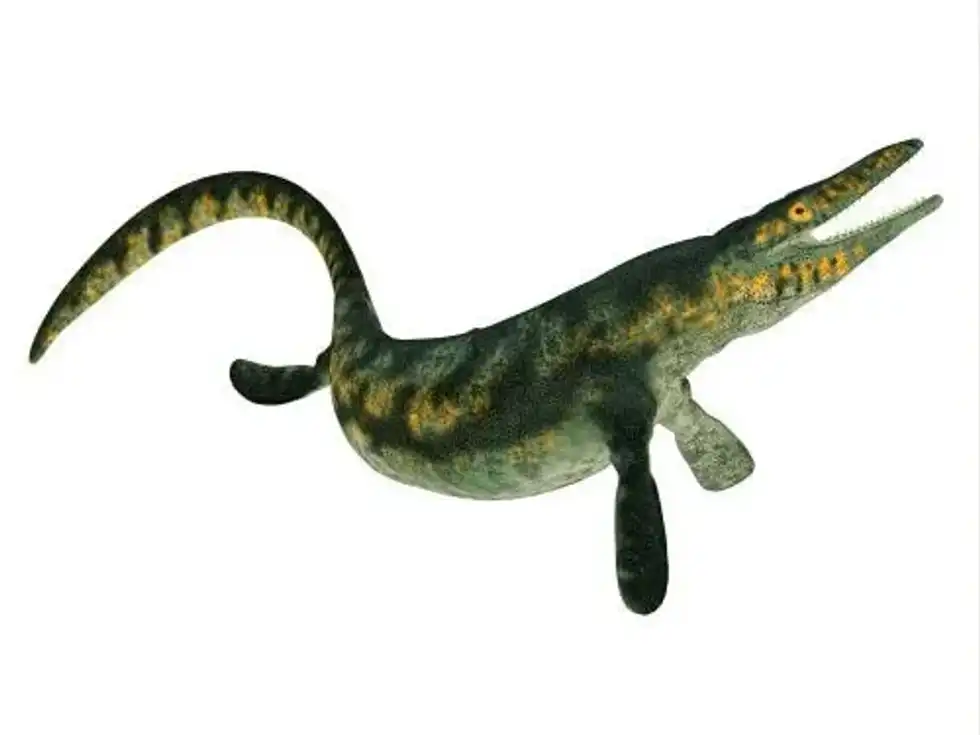Read these Tylosaurus facts to learn about this marine reptile related to the modern-day monitor lizard.