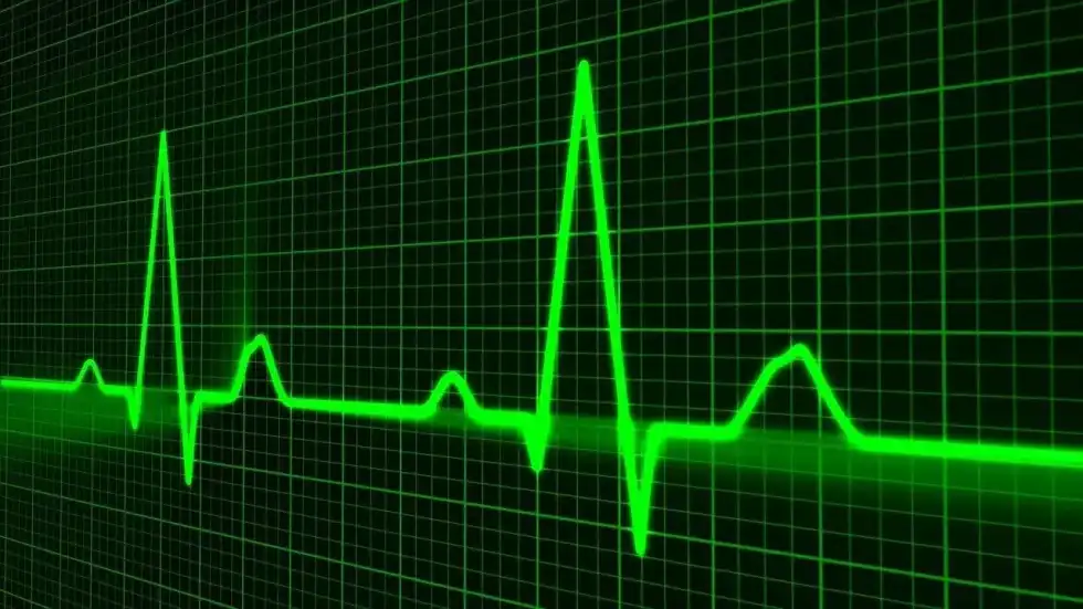 Read this article to discover some spectacular artificial heart facts.