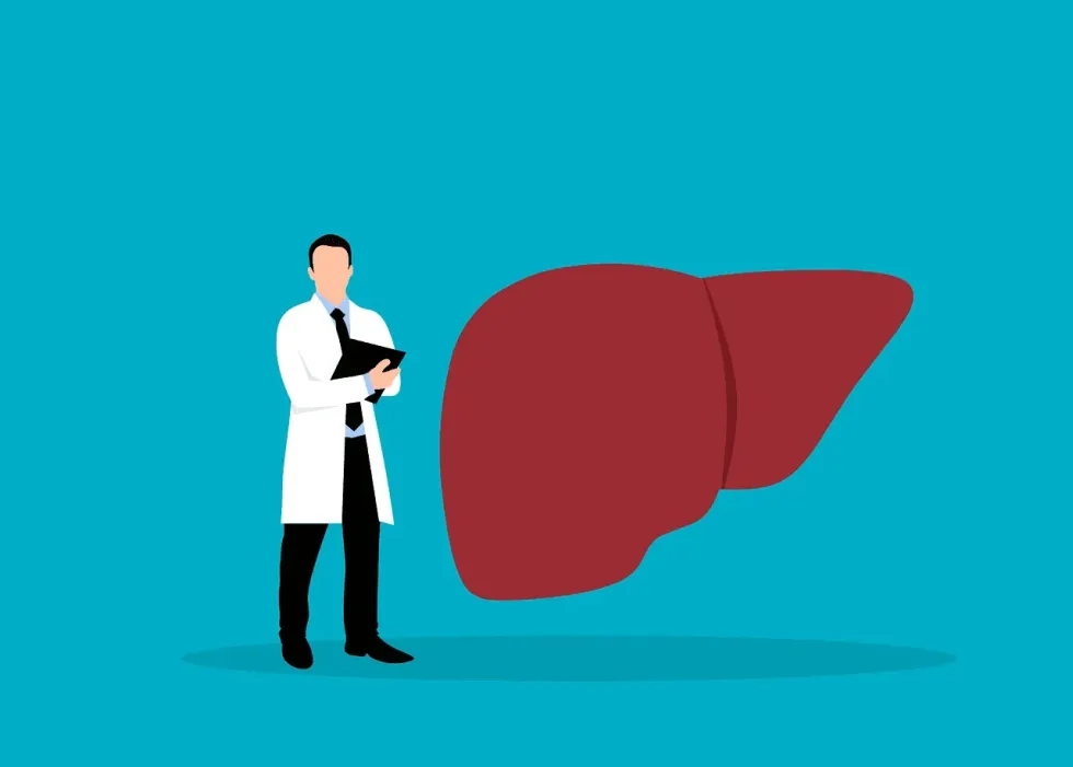Read to learn about 10 functions of the liver.