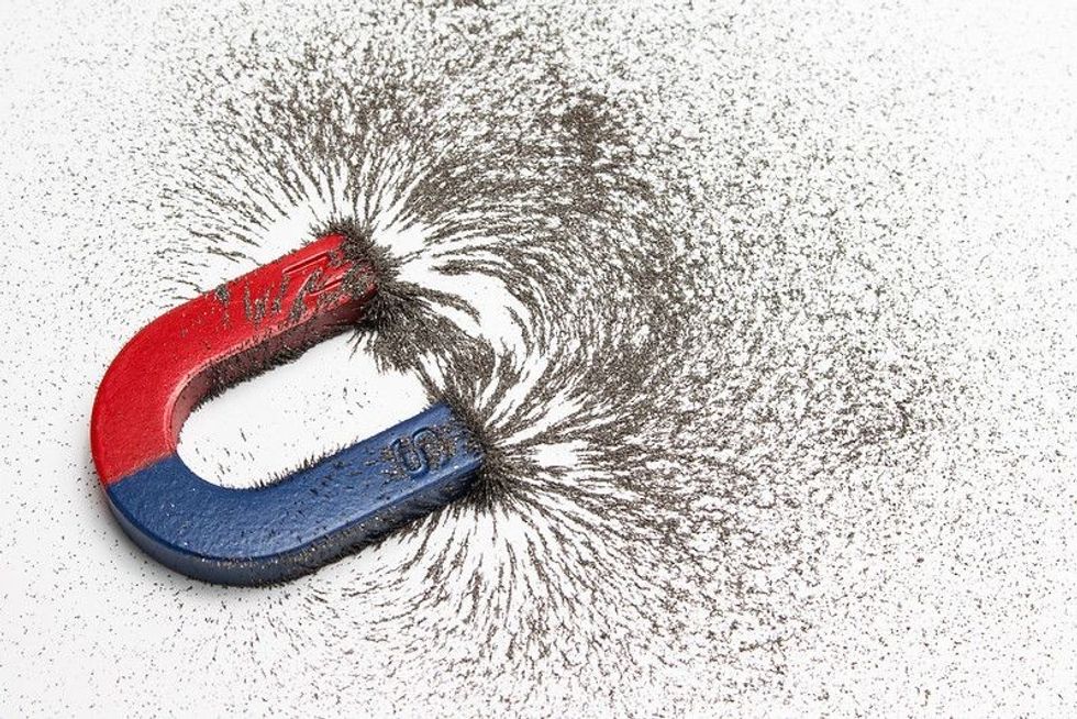 Red and blue horseshoe magnet.