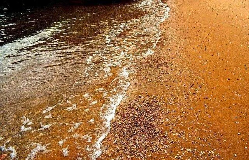 Red tide is an uncommon phenomenon