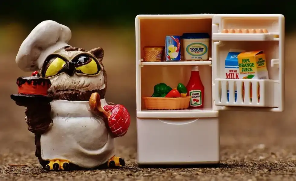 Refrigerator Facts are interesting to read about for kids and adults.