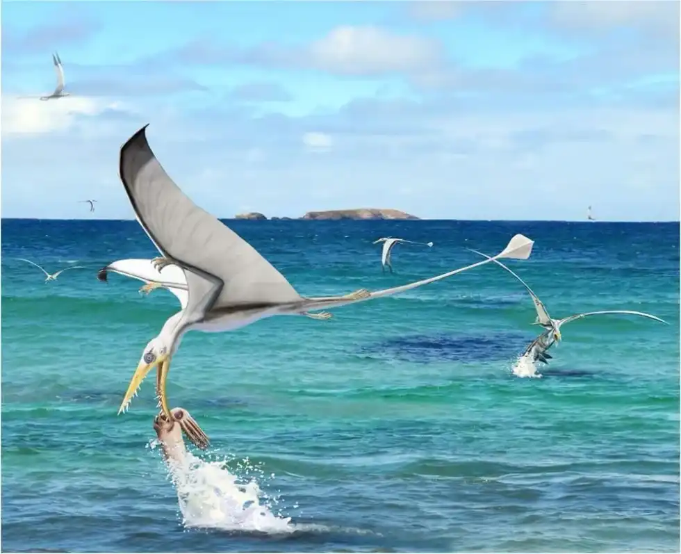 Rhamphorhynchus facts about their characteristics are intriguing.