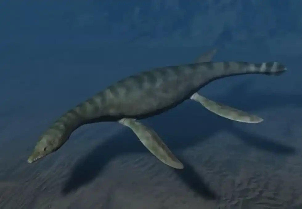 Rhomaleosaurus facts include that it hunted its prey by their smell and can also detect their direction before having any visual.