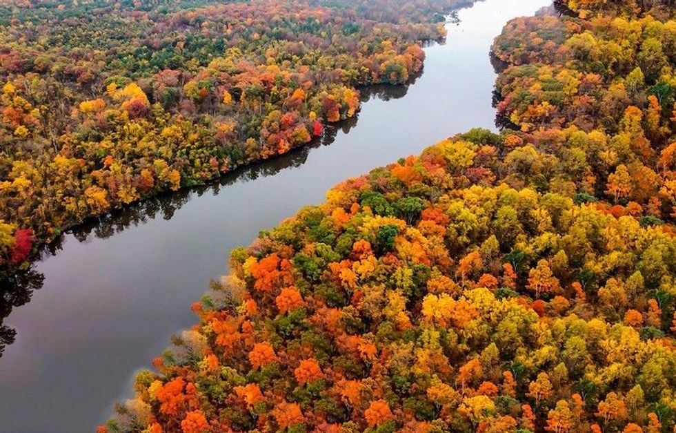River in the autumn forest