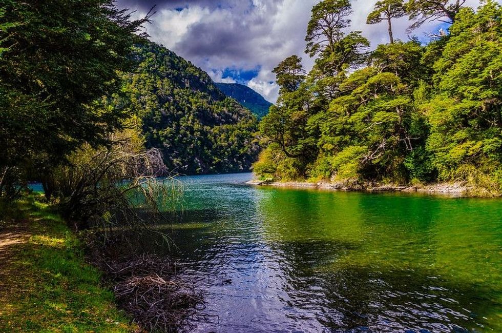 River side with green lush greenery