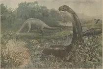 Rocasaurus facts are part of Cretaceous research.