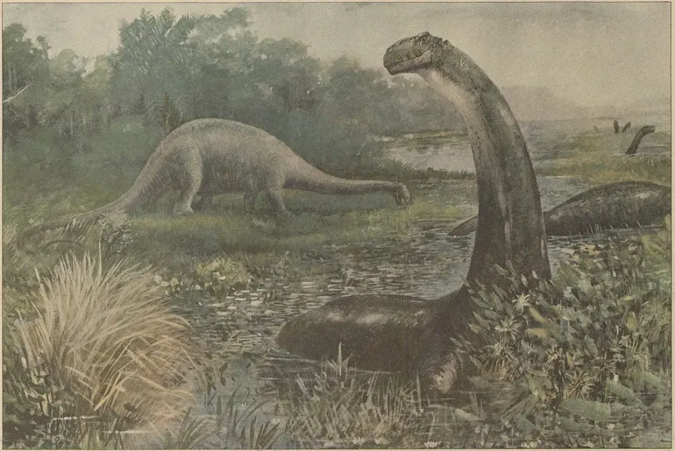 Rocasaurus facts are part of Cretaceous research.