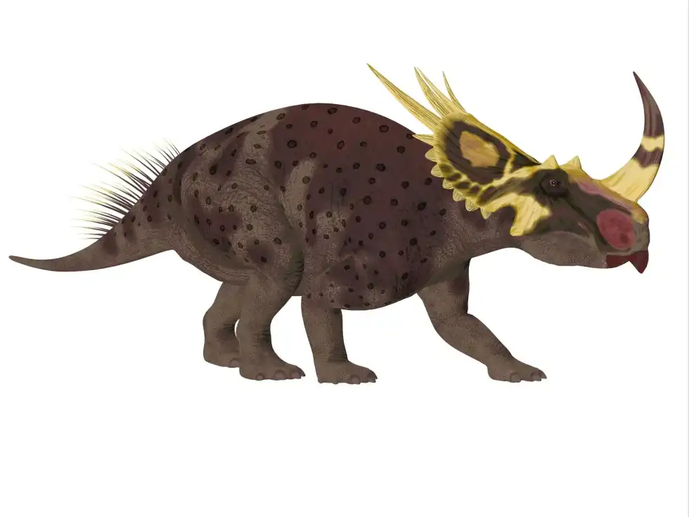 Rubeosaurus facts talk about the amazing discovery of its remains.