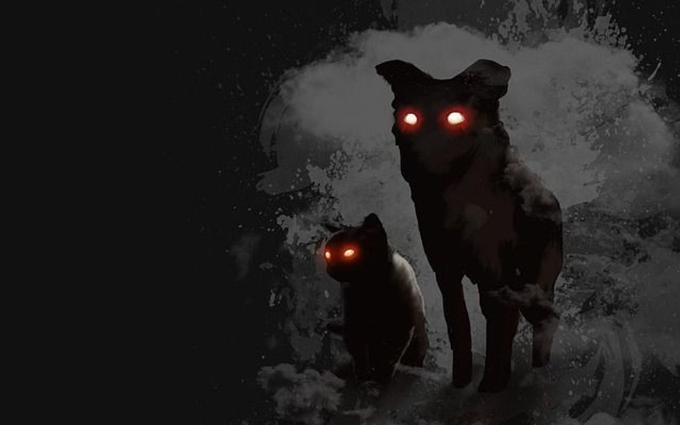 Rumor has it that the chupacabra hypnotized its prey. Read on to learn more fascinating chupacabra facts!