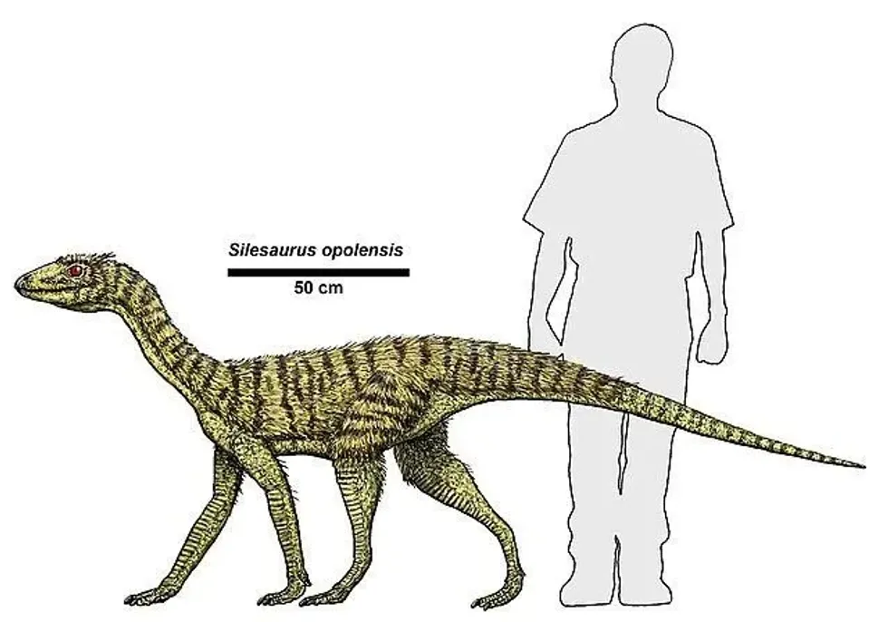 Sacisaurus facts are spellbinding!