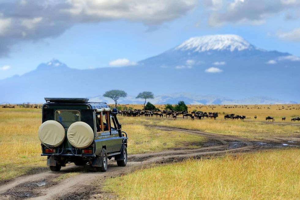Safari game drive Masai mara reserve in Kenya
