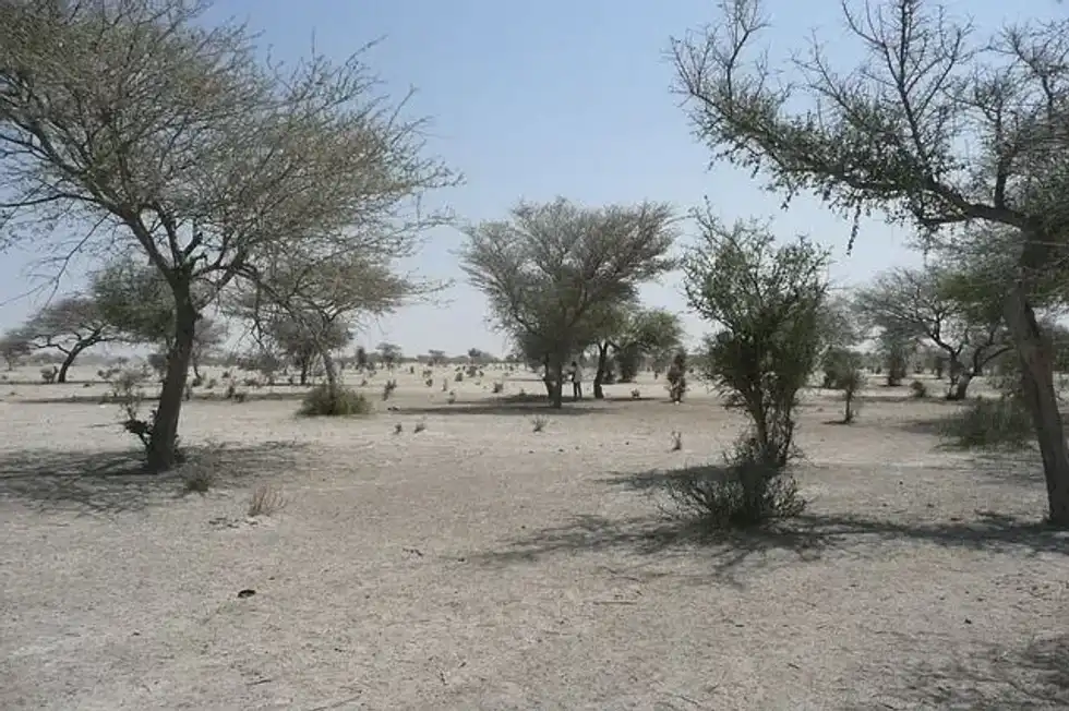 Sahel facts state that it is in southwestern Africa and stretches for about 3417.54 mi (5500 km) to the south and 279.61 mi (450 km) to the north, sandwiched between forests and deserts.