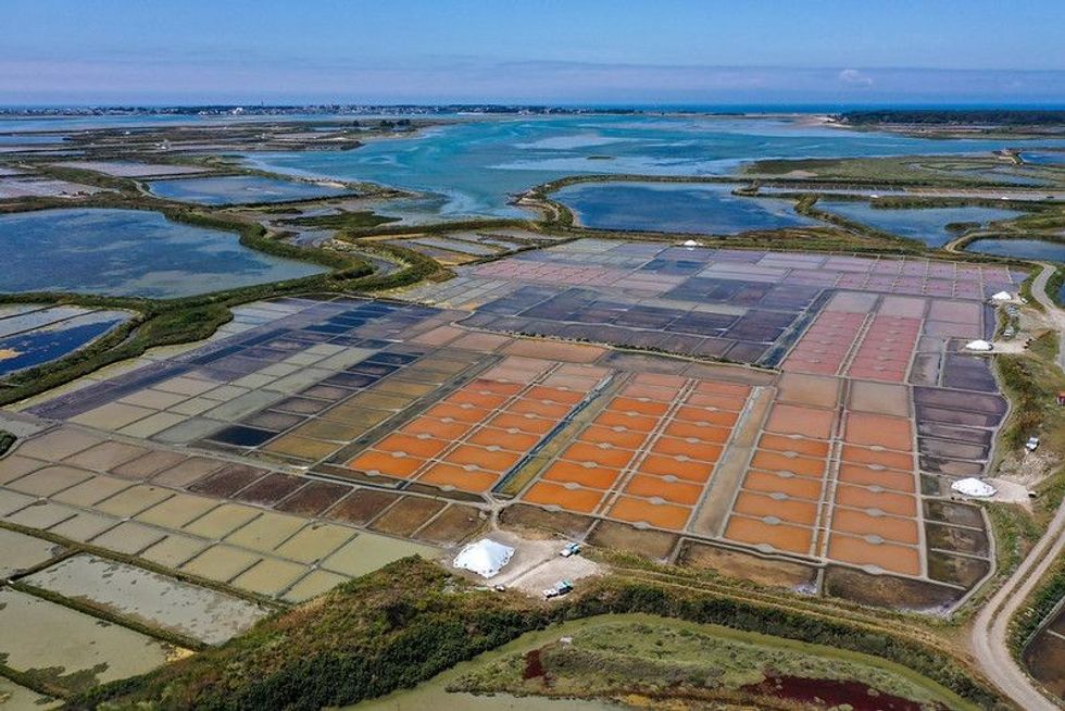 Salt marshes in Guerande in Brittany