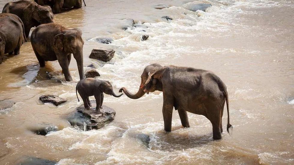 Saraswati River is considered by Hindus