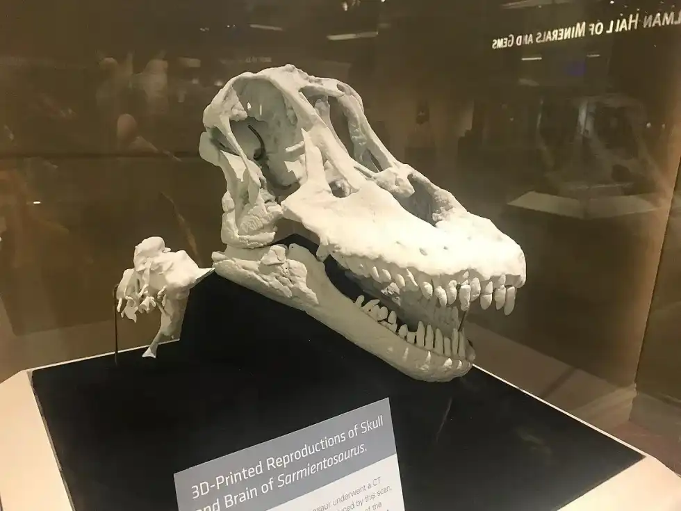 Sarmientosaurus facts are highly interesting.