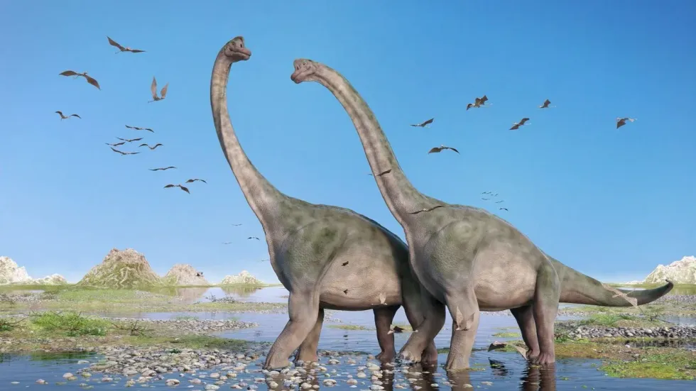 Sauropods' facts are interesting!
