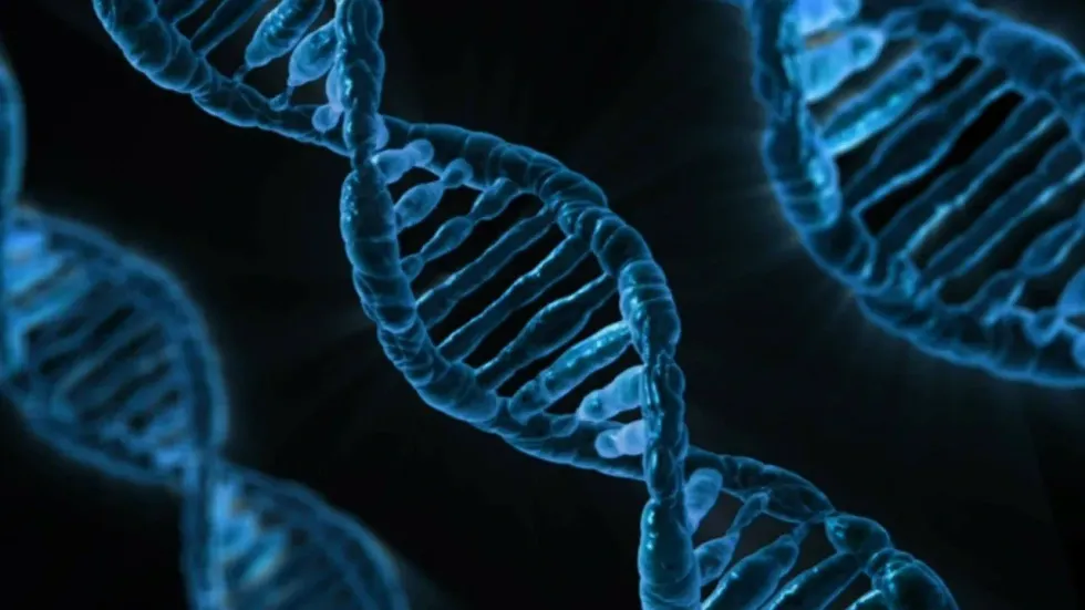 Scientific facts about genes and genetics decide the characteristics of living beings.