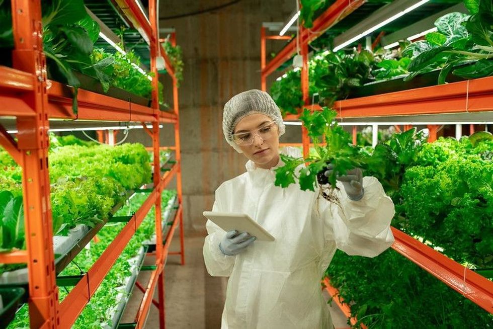 Scientist investigating the plants