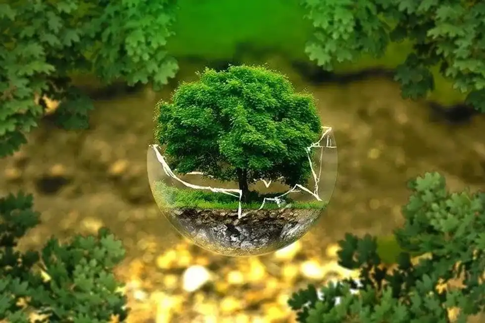 Excellent Ecologist Facts That Every Nature Lover Should Know About