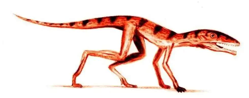 Scleromochlus facts are extremely captivating to read.