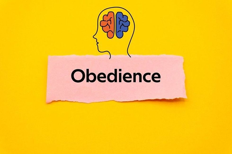 Scroll and read more to know about the best thought-provoking obedience quotes on Kidadl.