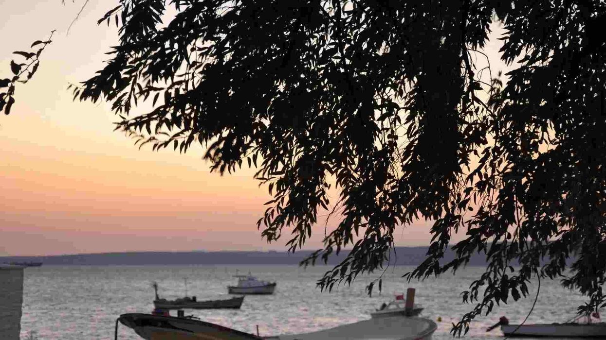 Sea of Marmara is a unique ecosystem