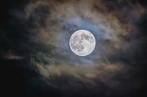 See one side of the moon