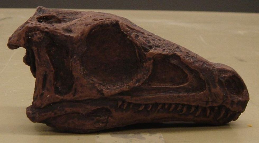 Sefapanosaurus facts are all about a sauropodomorph dinosaur of the Early Jurassic Period.