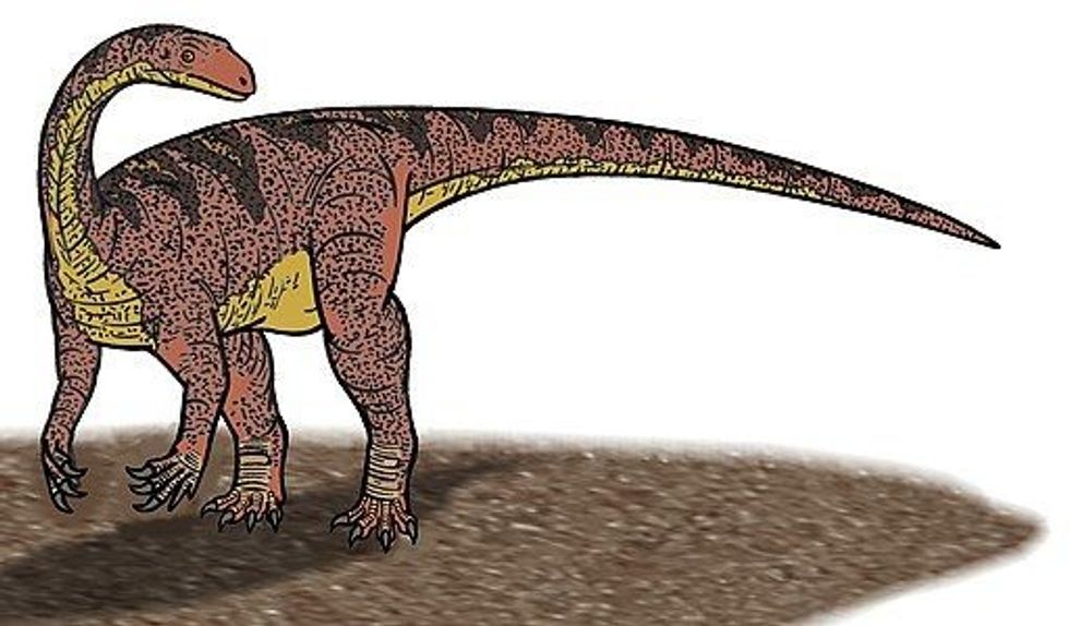 Seitaad facts will offer you every information about this basal sauropodomorph dinosaur.