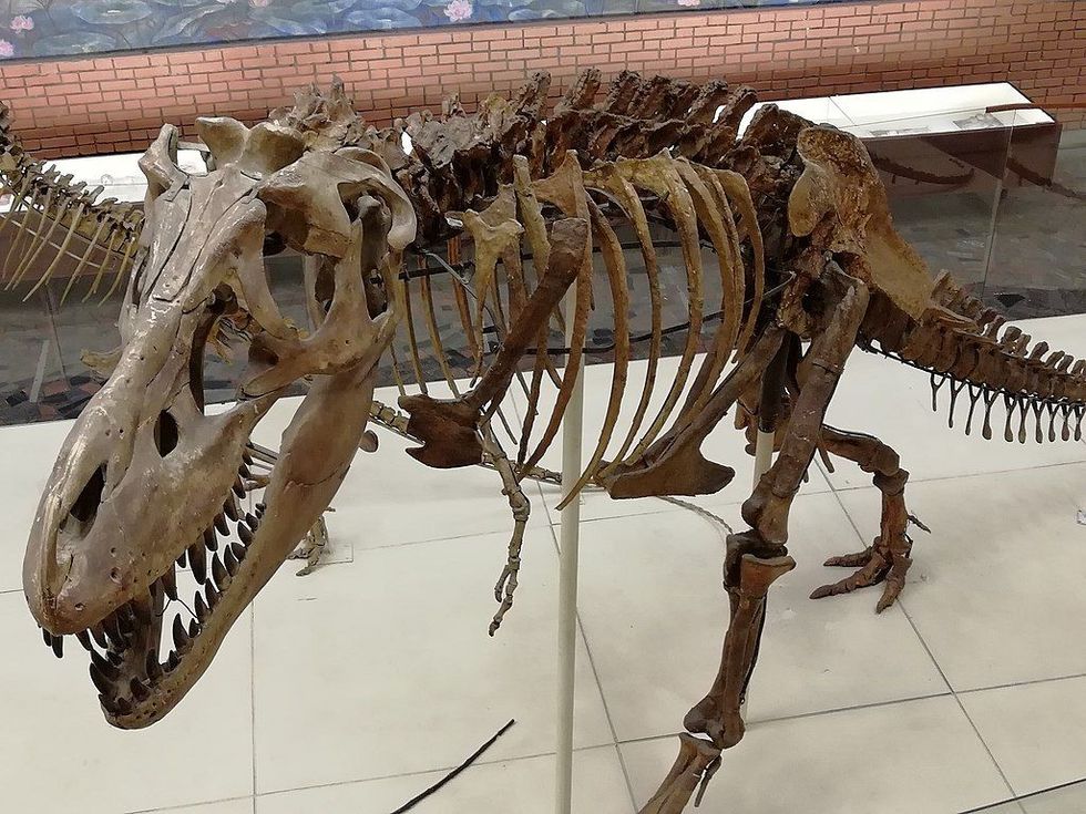 Shanshanosaurus facts are great for kids.