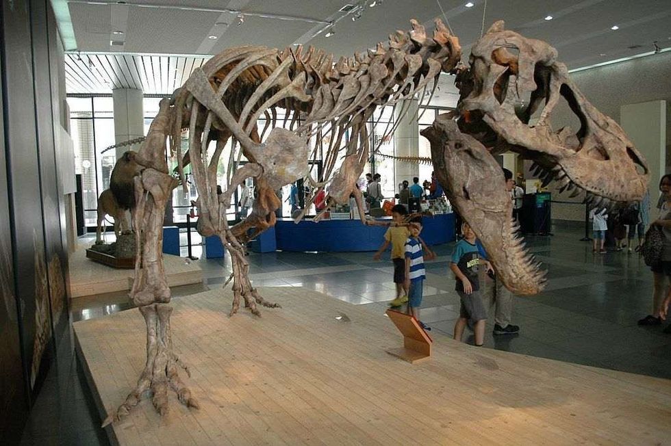Shanshanosaurus was a therapod from Late Cretaceous period.
