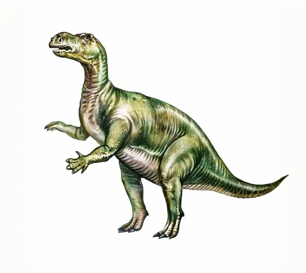 Shanxia facts are interesting for students in education who like science and geography.