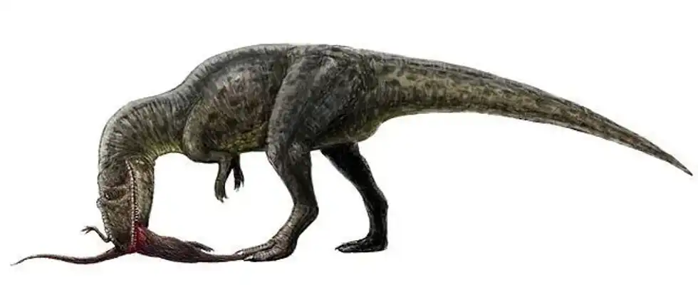 Shaochilong facts on a late cretaceous of Asia.