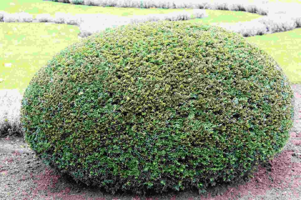 Shape that reminds you of an egg