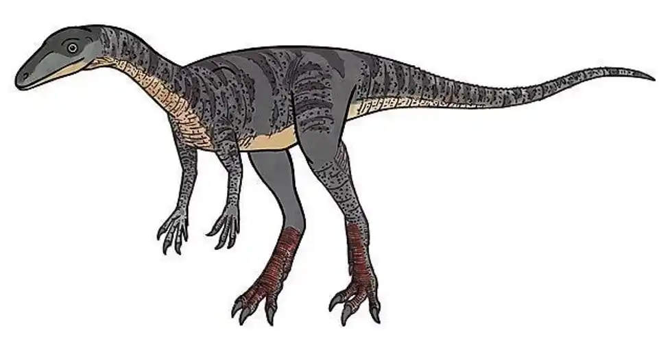 Shuvosaurus facts include details like the meaning of Shuvosaurus or Shuvo's lizard.