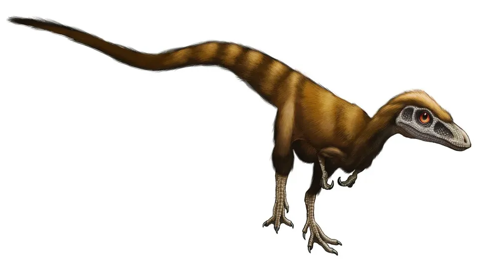 Sinosauropteryx facts are about the majestic ancient creatures that existed before mankind.