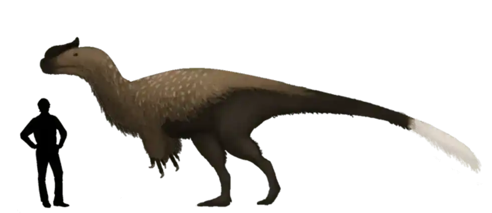 Sinotyrannus facts on a carnivorous dinosaur.