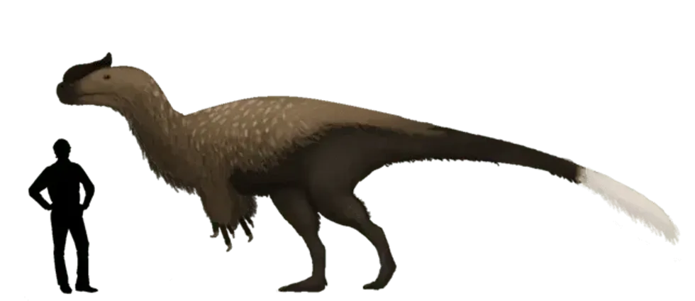 Sinotyrannus facts on a carnivorous dinosaur.