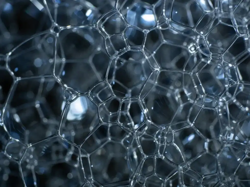 So why do phospholipids form a bilayer in water? Read on to find out!