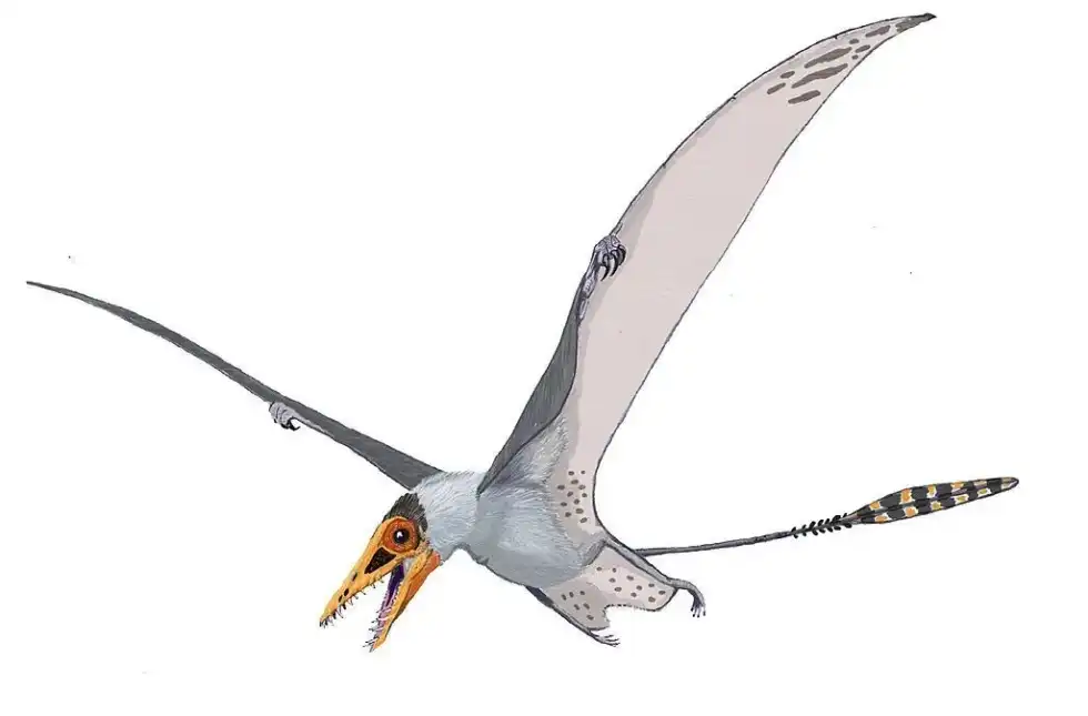 Sordes was a hairy pterosaur was the first of its kind to be discovered. Continue reading to discover more interesting Sordes facts that you're sure to love!