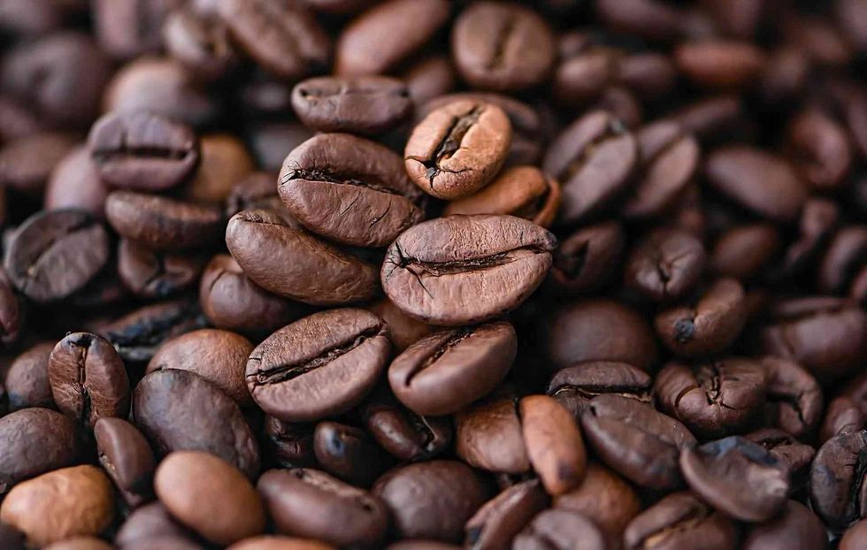 Source of coffee is the coffee bean
