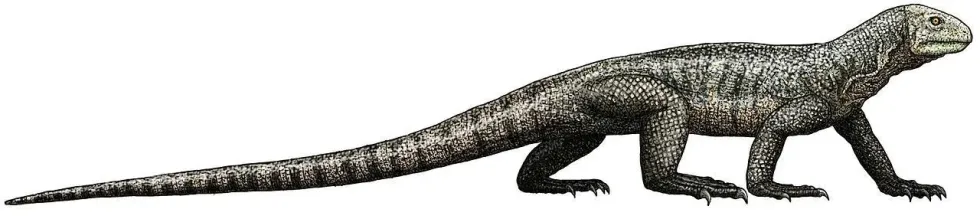 Spinosuchus facts are amazing.