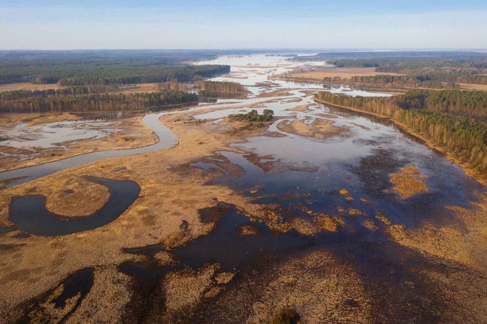 Spring flood on floodplain